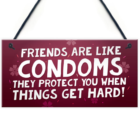 Funny Friendship Gift For Christmas Novelty Best Friend Gift