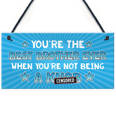 Funny Brother Gift Rude Gift From Sister Sign Gift For Him