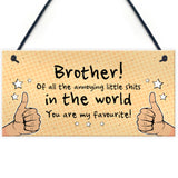 Brother Gift For Him Funny Brother Birthday Christmas Gift