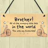 Brother Gift For Him Funny Brother Birthday Christmas Gift