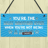 Funny Brother Gift Rude Gift From Sister Sign Gift For Him