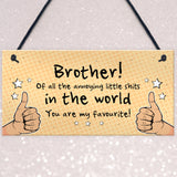 Brother Gift For Him Funny Brother Birthday Christmas Gift