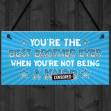 Funny Brother Gift Rude Gift From Sister Sign Gift For Him