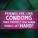 Friendship Plaque Funny Gift For Best Friend Birthday Christmas