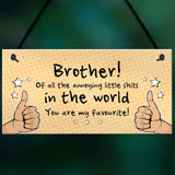 Brother Gift For Him Funny Brother Birthday Christmas Gift