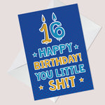 Funny 16th Birthday Card For Him Her Daughter Son Rude Card