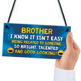 Funny Brother Plaque Birthday Christmas Gift For Brother