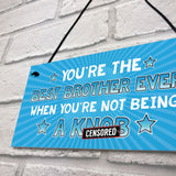 Funny Brother Gift Rude Gift From Sister Sign Gift For Him